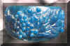 bluegrapes3.jpg (52920 bytes)