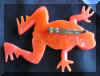 orangefrog2.jpg (21836 bytes)