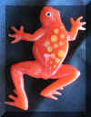 orangefrog4.jpg (27877 bytes)