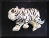 ivorytiger3.jpg (32472 bytes)