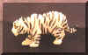 ivorytiger6.jpg (37220 bytes)