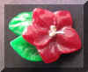 redvioletbutton.jpg (40034 bytes)